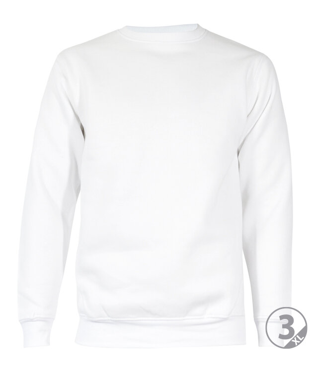 SUDADERA COTTON 100% ALGODON · [280g]